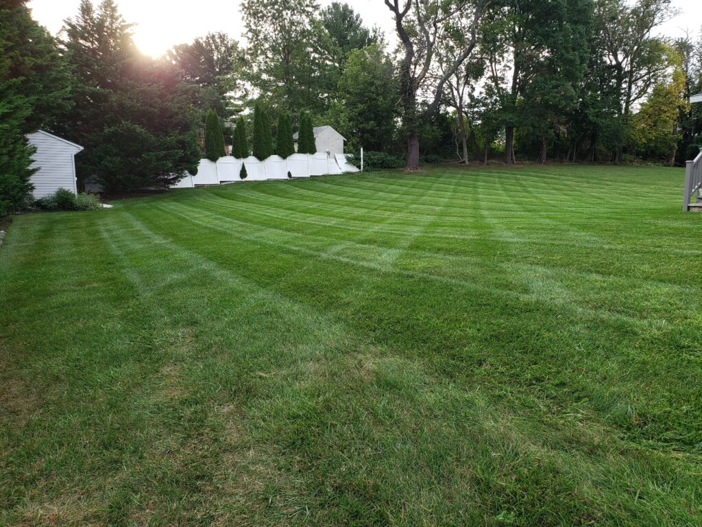 Lawn mowed in maryland