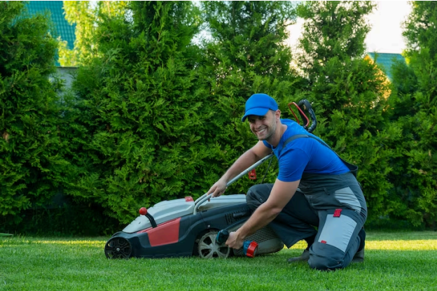 10 Essential Tips for Maintaining a Healthy Lawn in Maryland’s Climate
